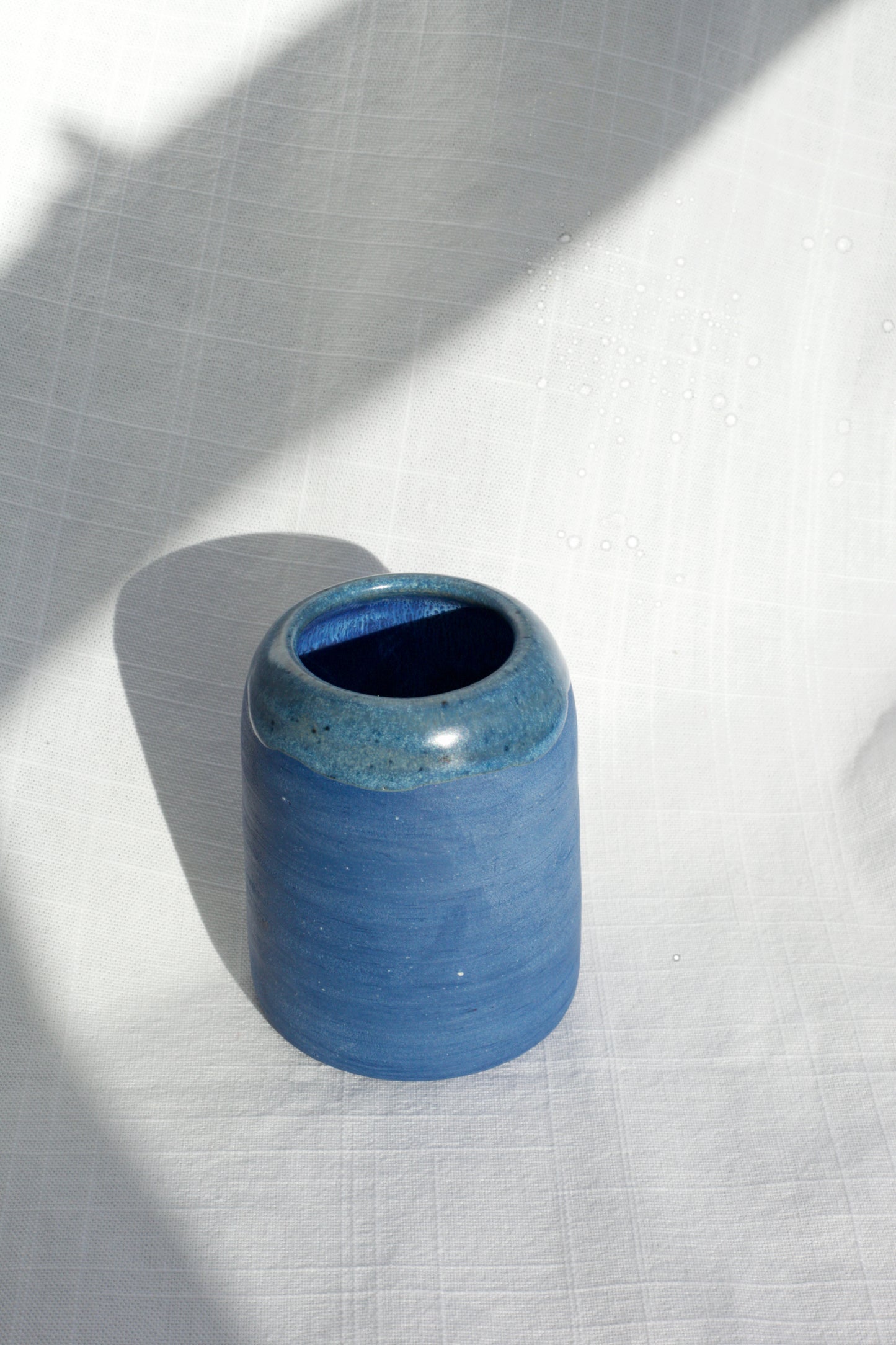 Blue Porcelain Vase